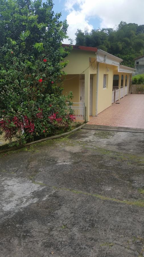 L'Oliveraie Saint-Joseph Ngoại thất bức ảnh