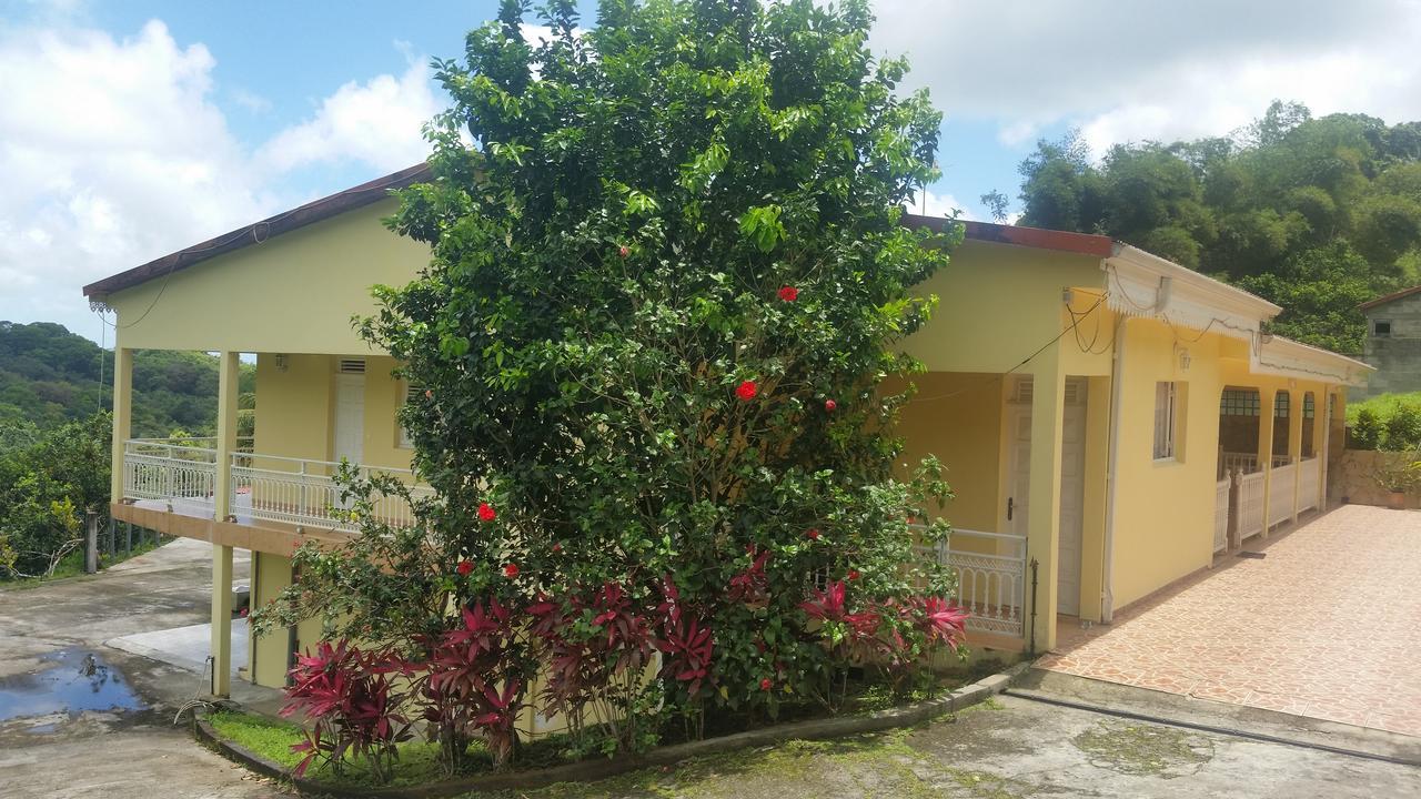 L'Oliveraie Saint-Joseph Ngoại thất bức ảnh