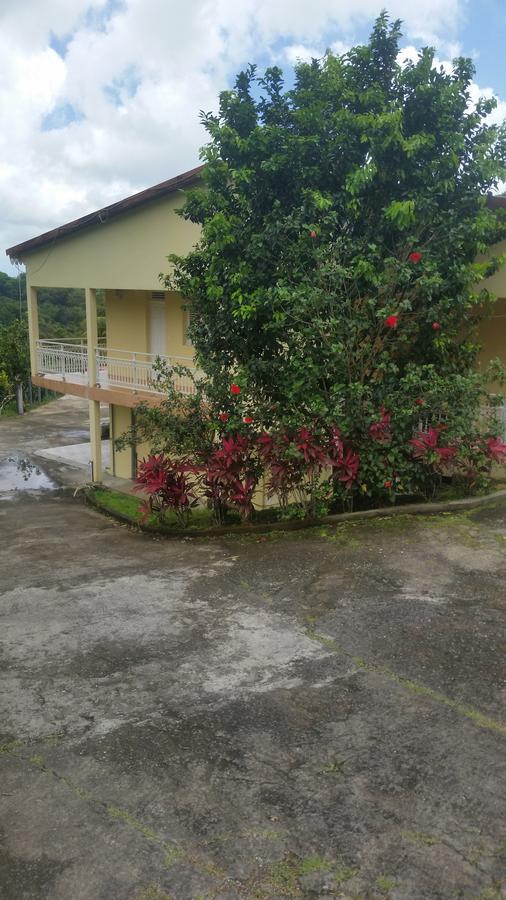 L'Oliveraie Saint-Joseph Ngoại thất bức ảnh